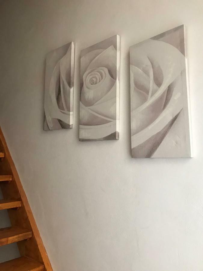 Il Nido - Cozy Studio Apartment In Santa Croce Firenze Kültér fotó
